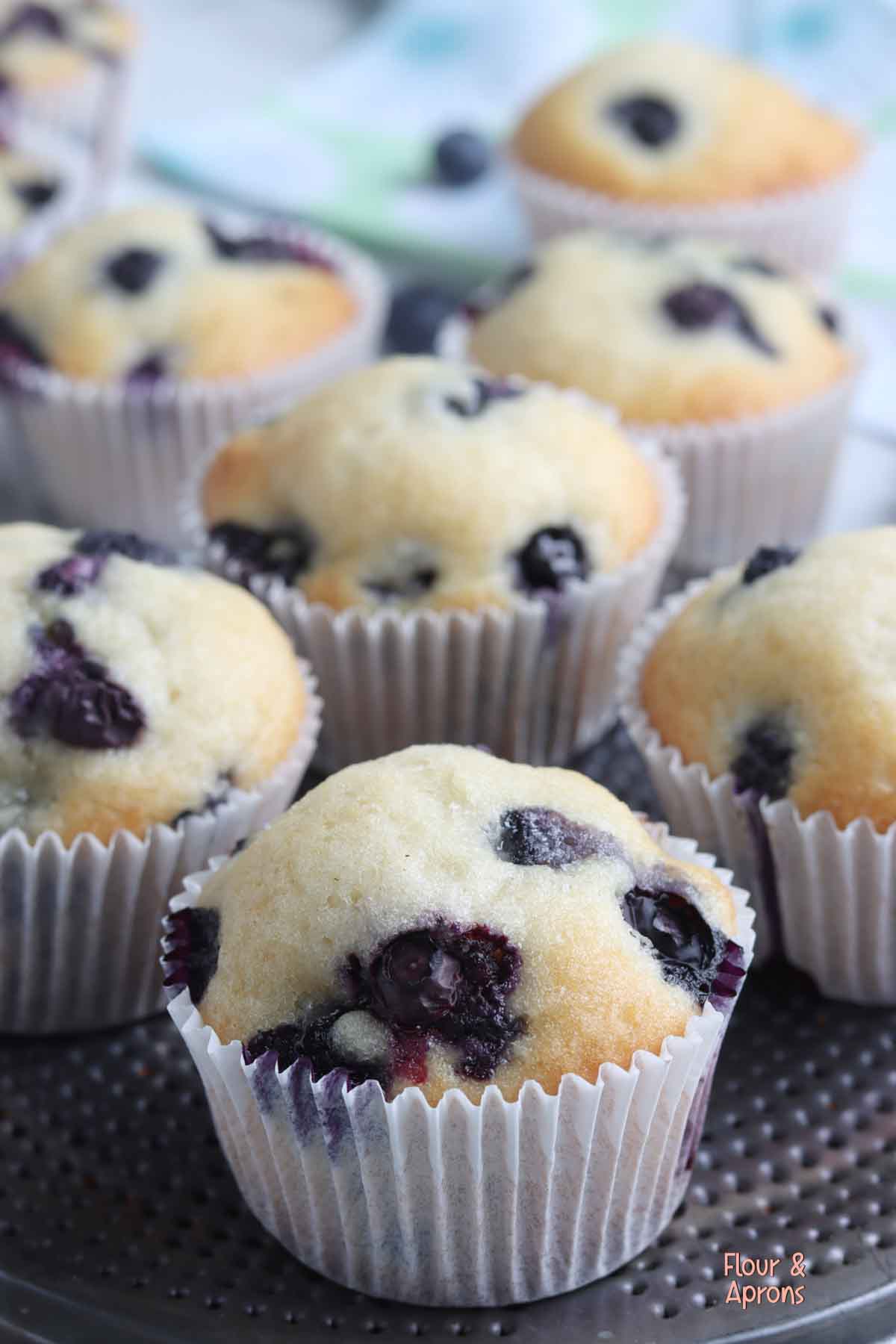 Closeup of Blueberry muffins.