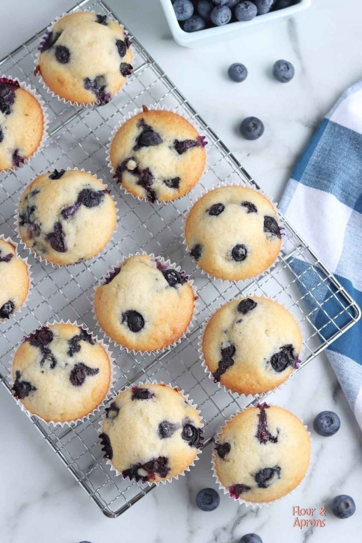 Top down view of blueberry muffins.